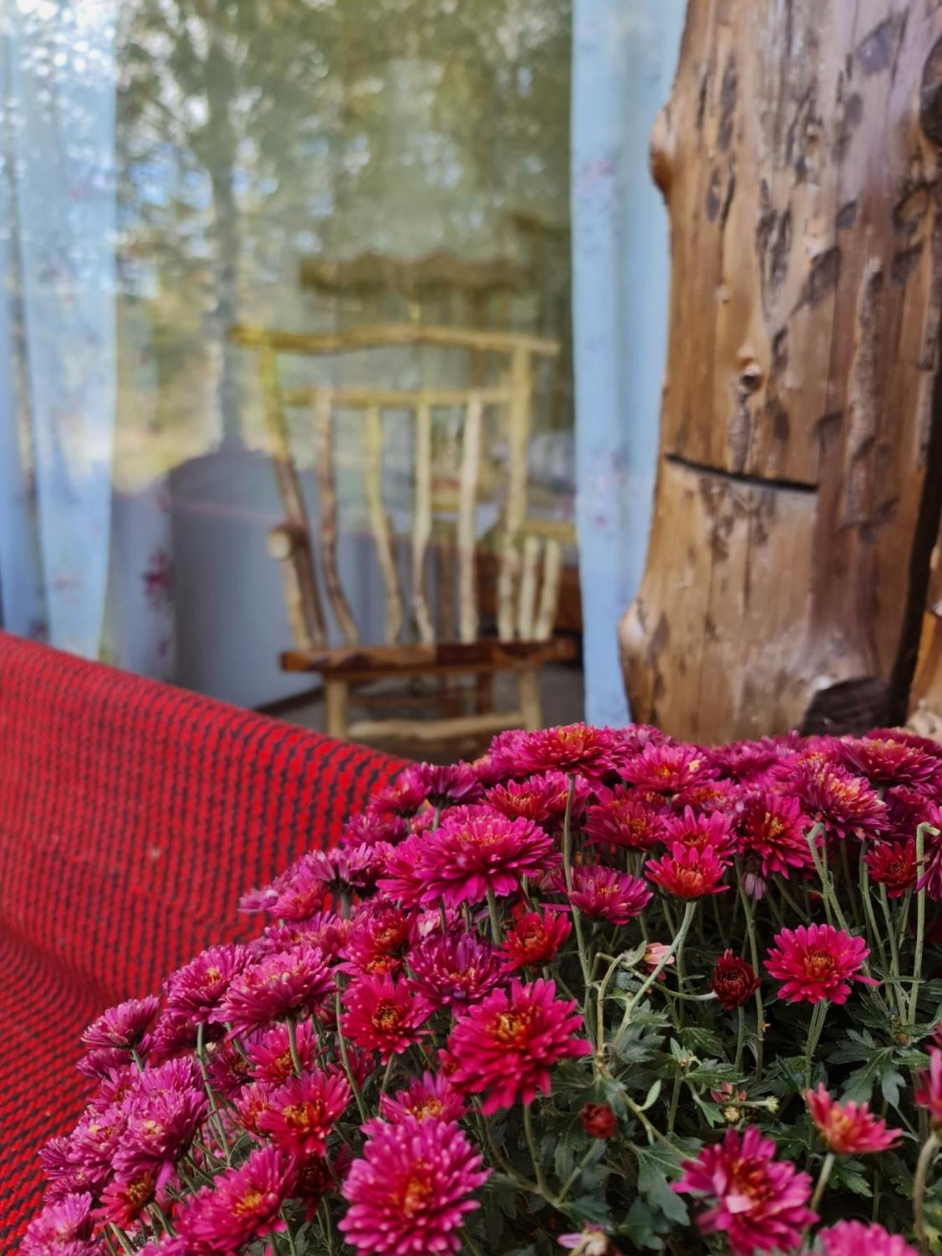 Ethno Village Montenegro Brezna ปลูชิเน ภายนอก รูปภาพ